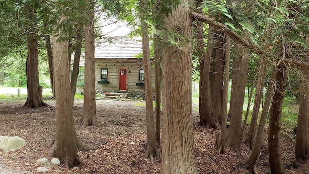 Eine rustikale Holzhütte, umgeben von hohen Bäumen in einem Waldgebiet.
