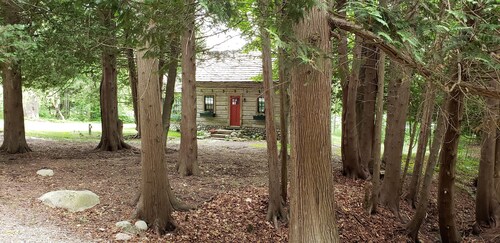 Charming Vintage Cabin on Beautiful Walloon Lake