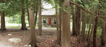 Charming Vintage Cabin on Beautiful Walloon Lake