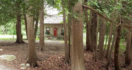 Charming Vintage Cabin on Beautiful Walloon Lake
