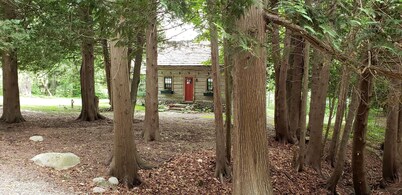 Charming Vintage Cabin on Beautiful Walloon Lake