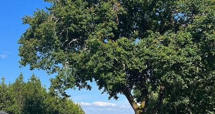 Maison sur lâile aux moines avec piscine