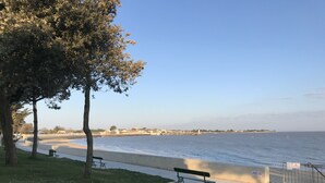 Un paseo marítimo con un banco, árboles y una vista despejada del mar.