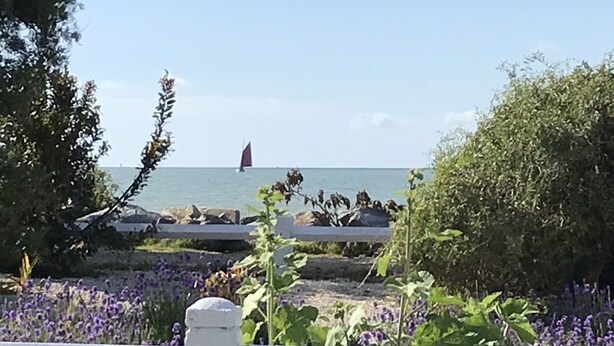 Vista costera con un velero en el agua, una cerca blanca y flores moradas en primer plano.