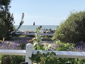 Een kustgezicht met een zeilboot op het water, een wit hek en paarse bloemen op de voorgrond.
