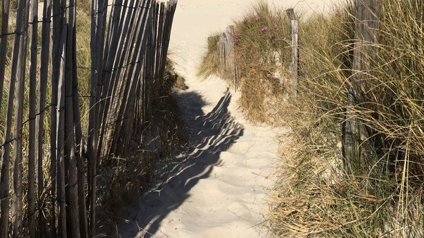 Am Strand