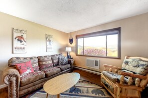 Fernseher, Kamin, DVD-Player, Bücher