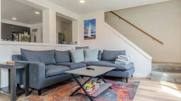 Télévision, cheminée, livres, espaces bureaux