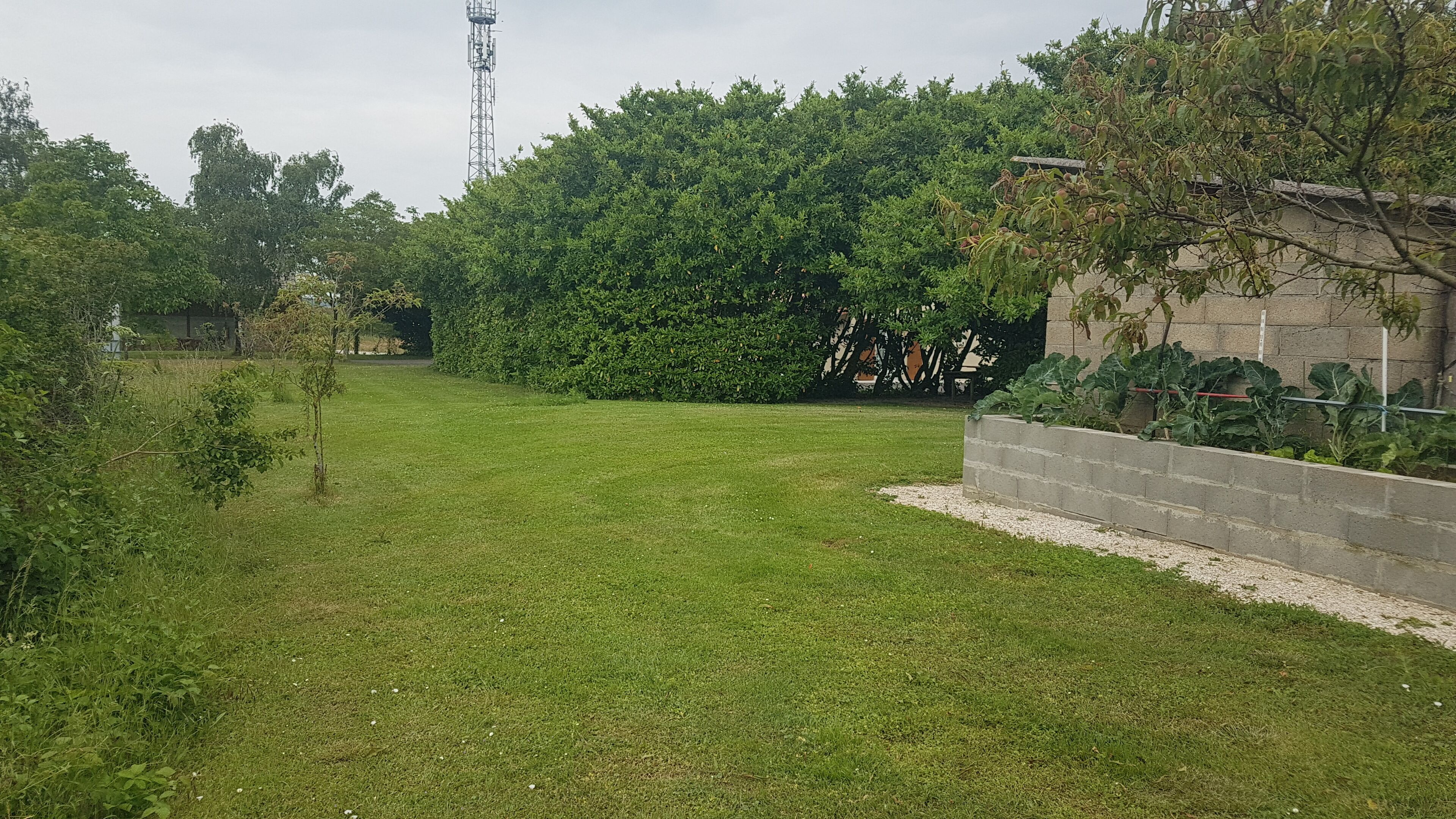 Un espace extérieur verdoyant, avec une haie, une haute tour de communication et un bâtiment doté d’un jardin.