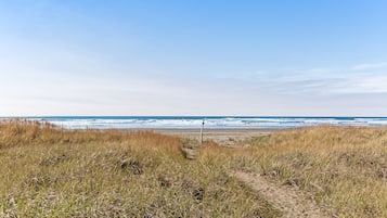 Playa en los alrededores