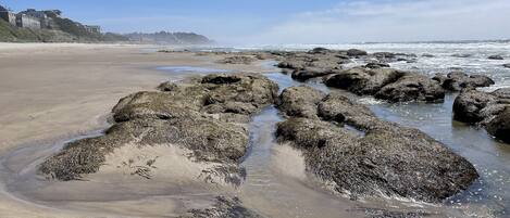 Playa en los alrededores