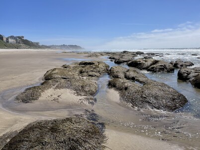 THE COASTY CABIN - Private Home - 2 Blks to Beach - Enclosed Backyard - PETS OK!