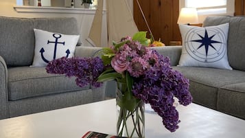 Smart-tv, een open haard, een dvd-speler en boeken