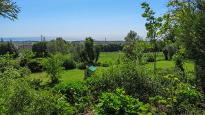 Een weelderig groen landschap met een klein huis op de voorgrond en een helder uitzicht op de zee op de achtergrond.