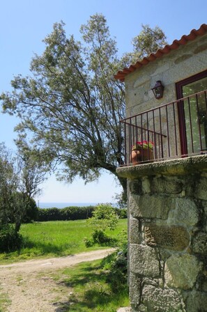 Área da propriedade