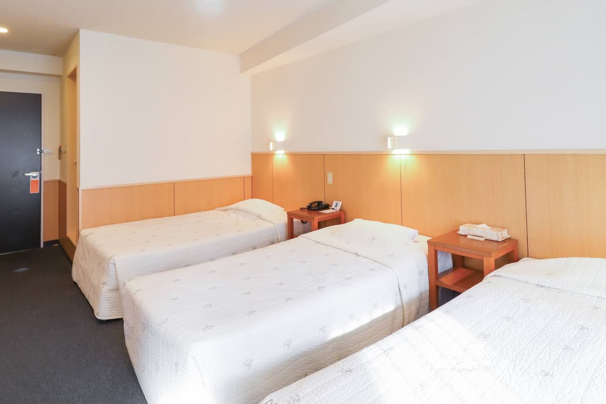 triple room, smoking | 1 bedroom, in-room safe, free wifi, bed sheets
