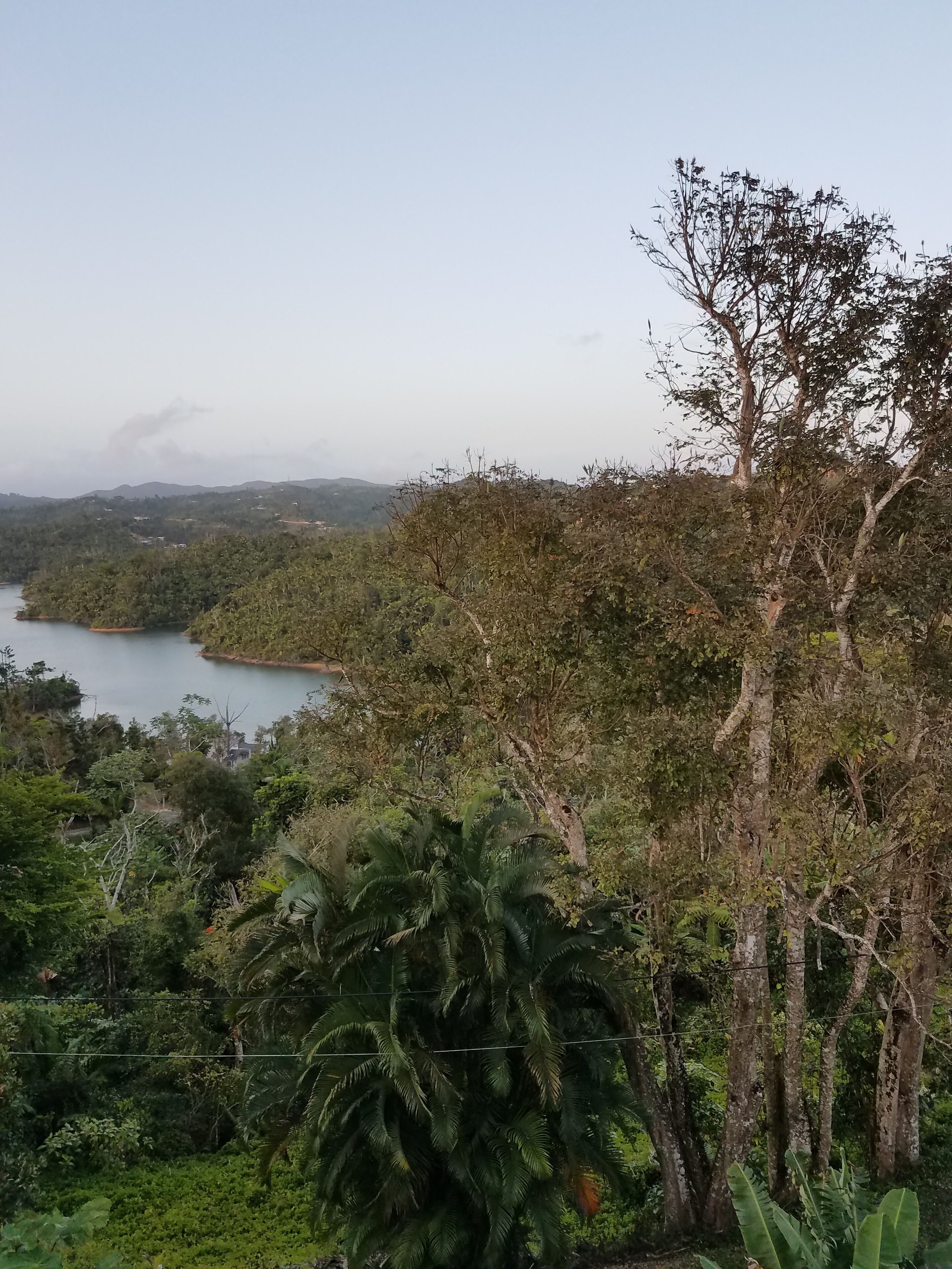 A lush landscape with dense vegetation, a body of water, and distant hills.