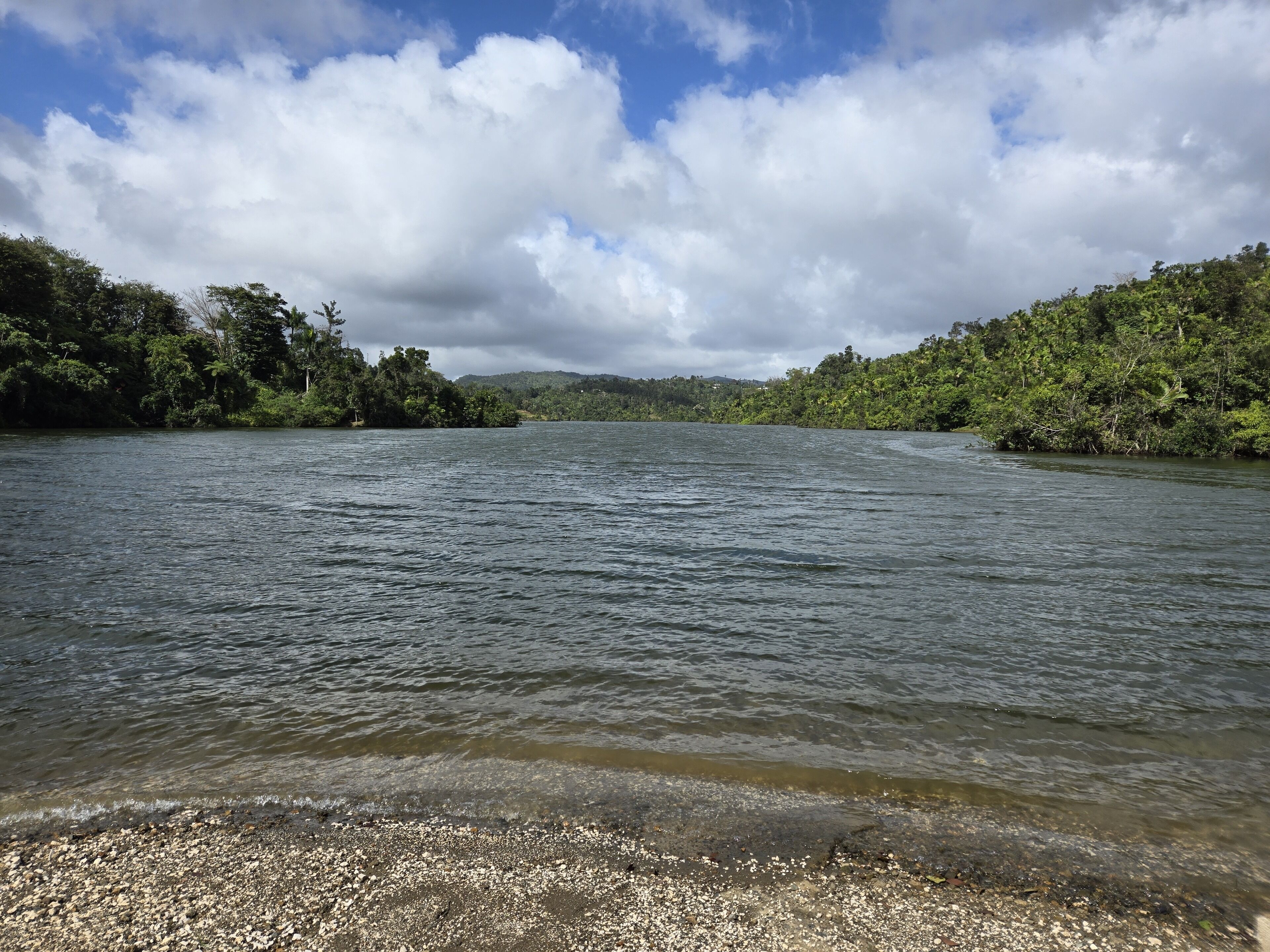 A river with a pebbly shore and dense greenery on both sides.