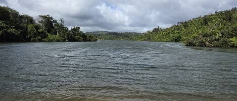 A river with a pebbly shore and dense greenery on both sides.
