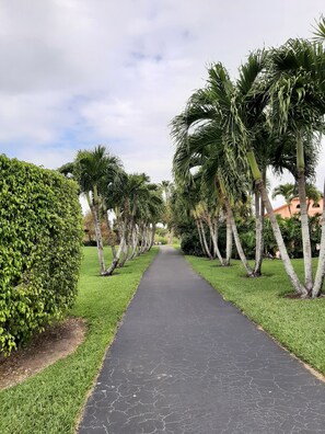 Property grounds - Beautiful Ocean Access Condo on Nature Preserve (Naples)