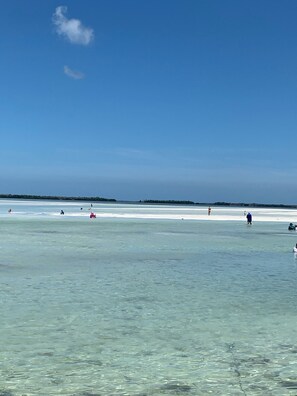 Sun loungers, beach towels