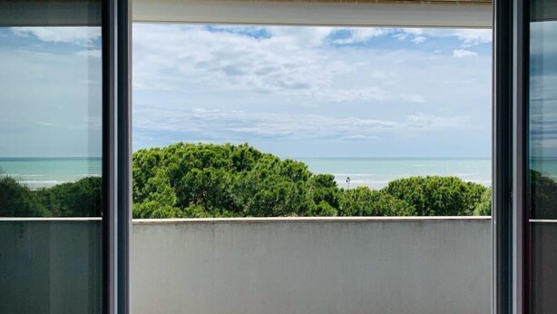 A view from a window overlooking a beach with a clear sky and dense greenery in the foreground.