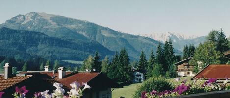 Terrain de lâhĂ©bergement