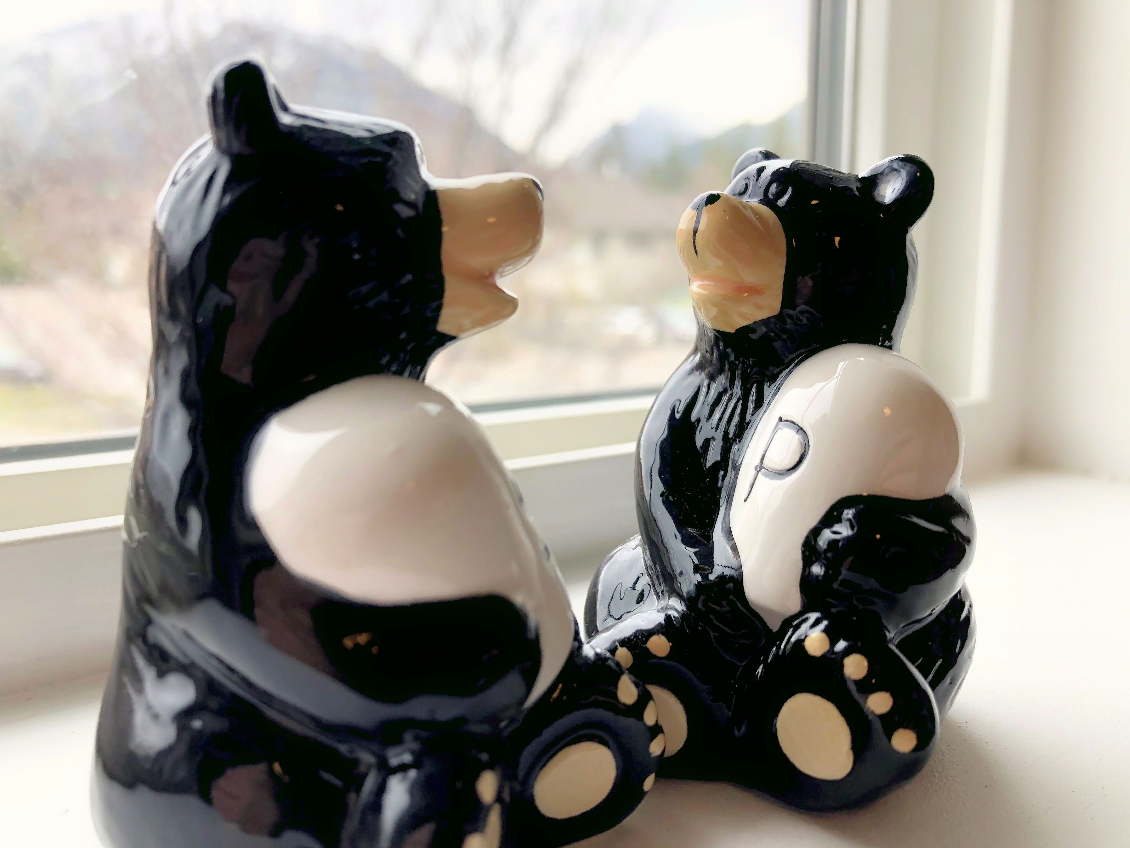 Cozy Corner Mountain View Oasis