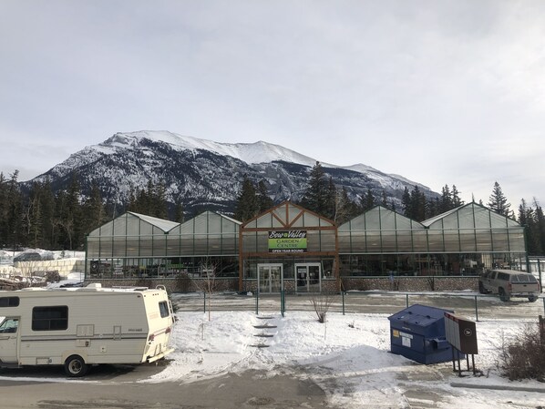 A greenhouse with a sign reading 'Bow Valley Garden Centre' and a snow-covered mountain in the background.