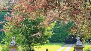 Áreas de la propiedad