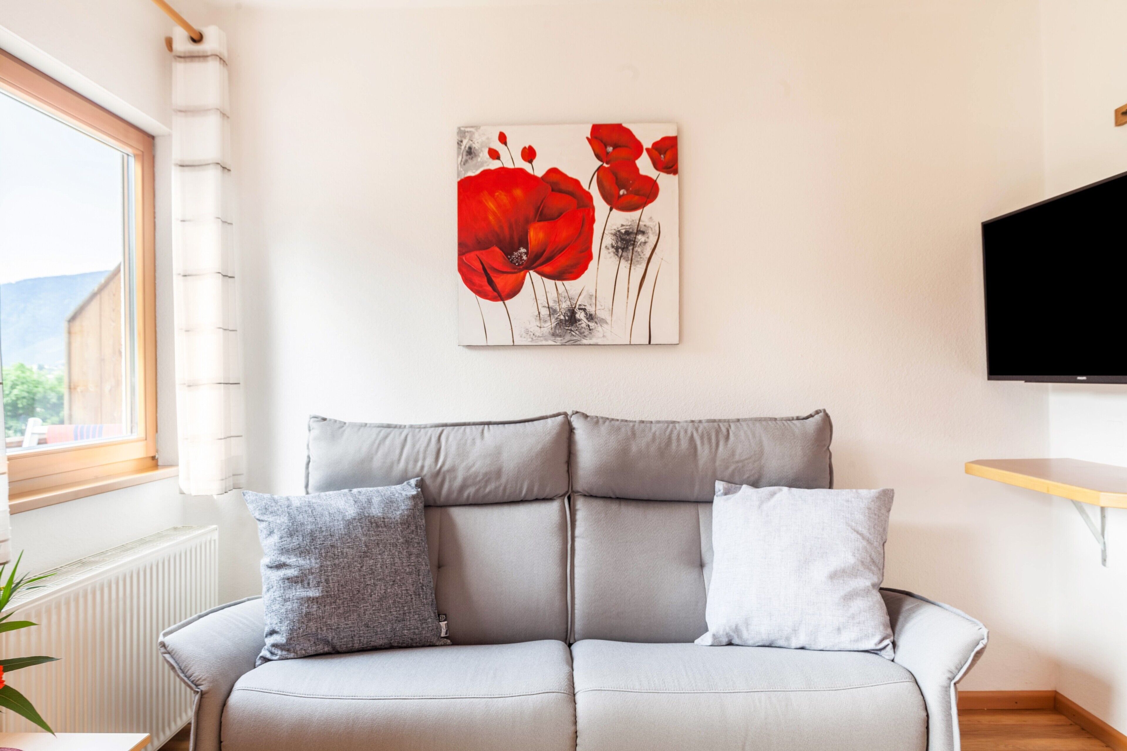 Fernseher, Tischtennisplatte