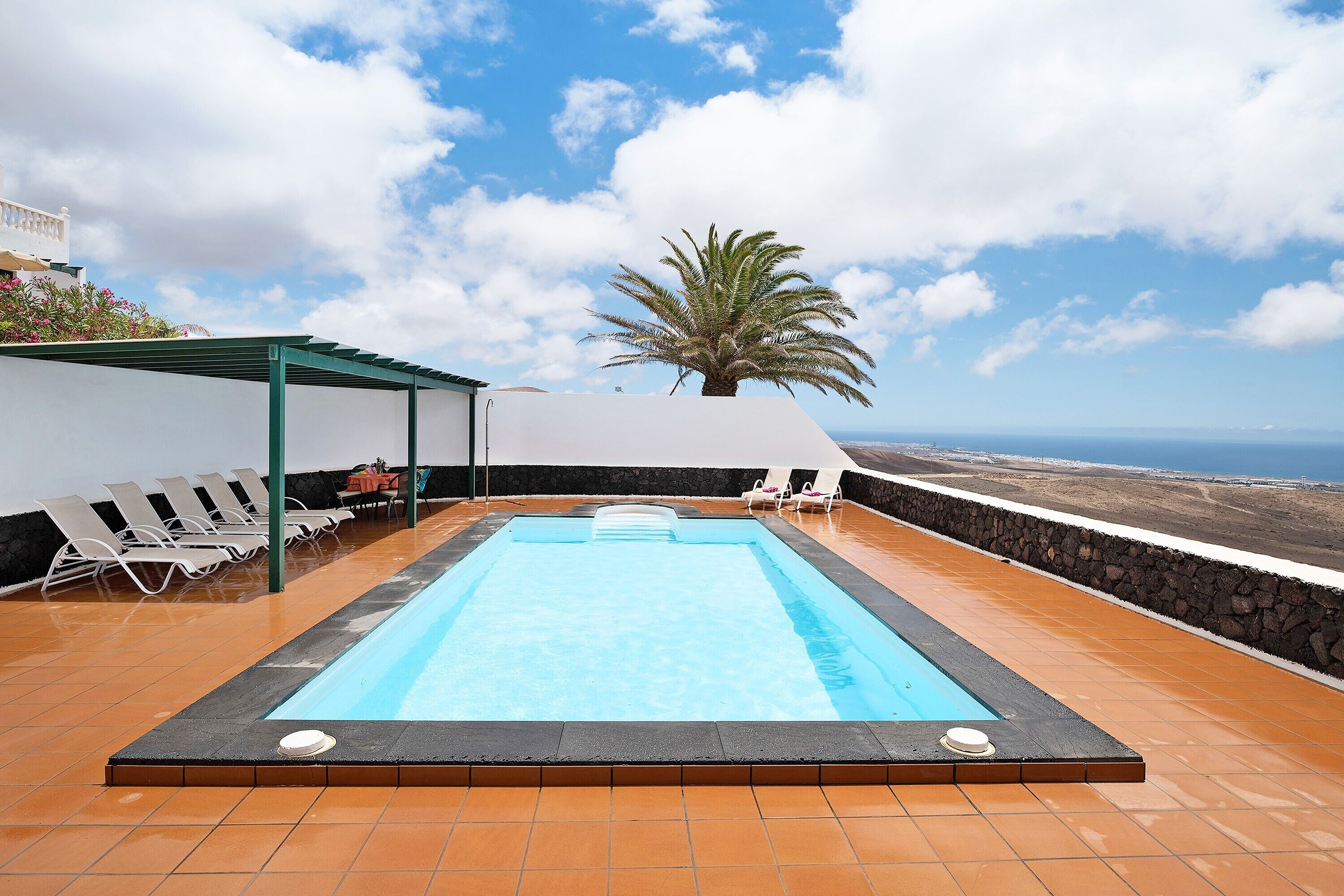 A rooftop pool with a clear view of the ocean, surrounded by lounge chairs and a palm tree.