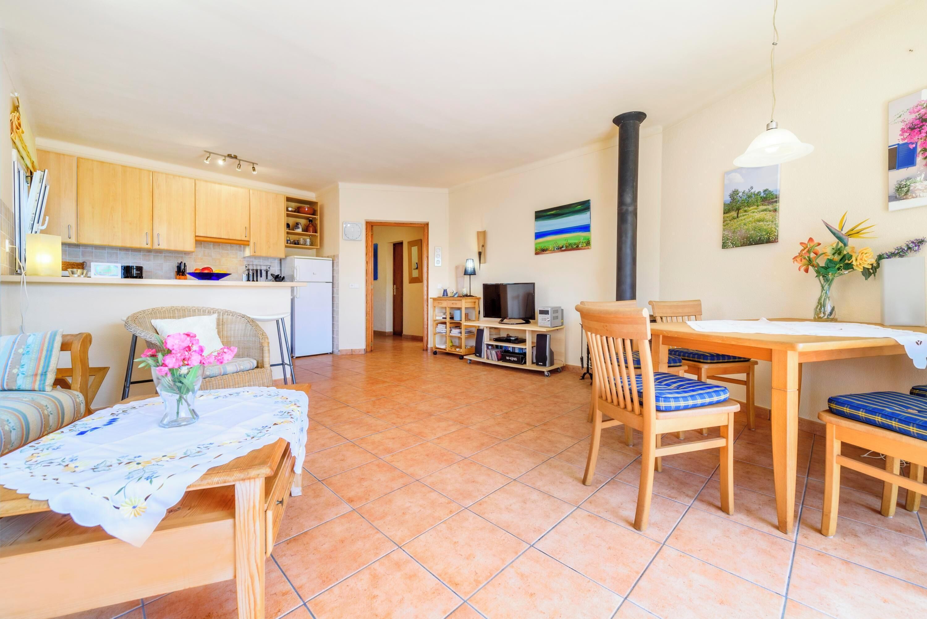 Tv, eldstad, dvd-spelare och en stereo