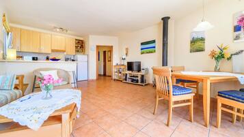 Tv, eldstad, dvd-spelare och en stereo