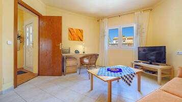 Tv, eldstad, dvd-spelare och en stereo