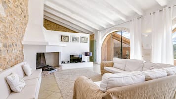 TV, fireplace, DVD player, ping pong