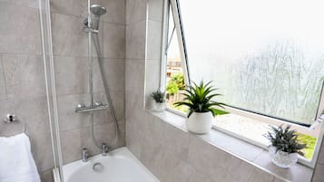Shower, hair dryer
