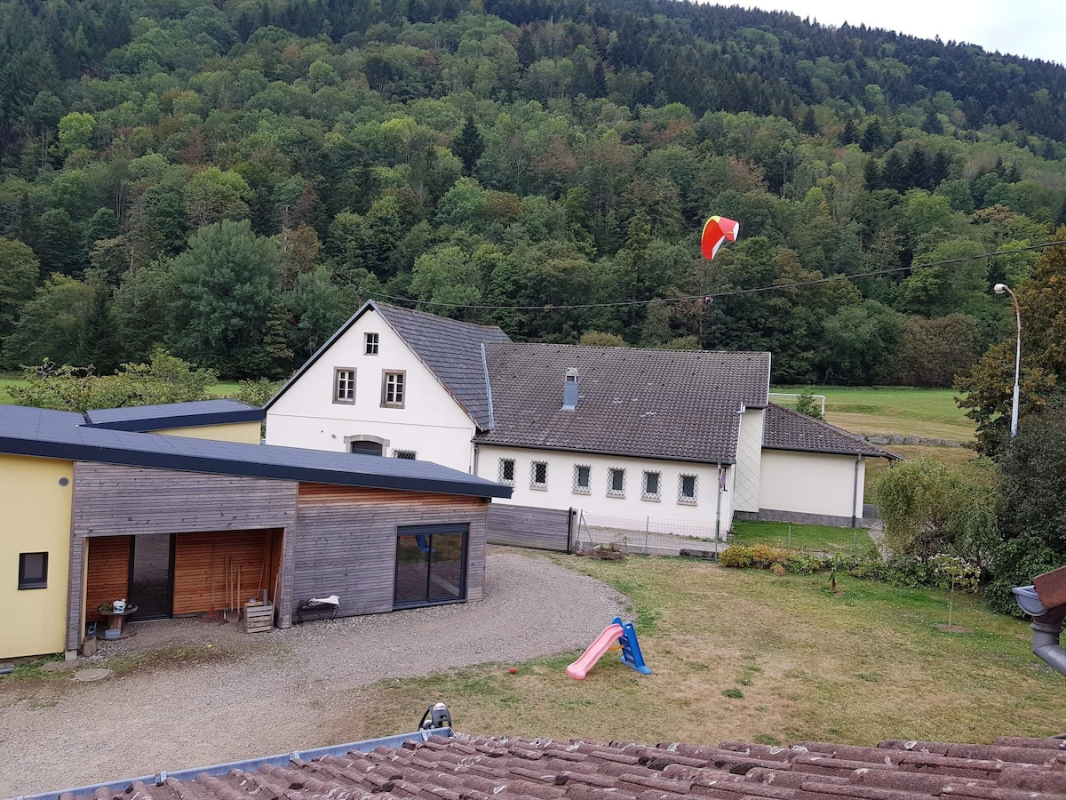 Bild für Gastgeberprofil