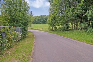 Surrounded by lush greenery, this serene rural road invites exploration into a dense forest.