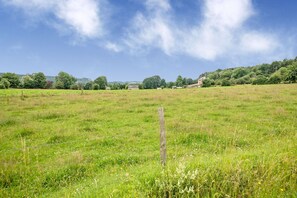 Surrounded by lush green fields and distant trees, this serene landscape offers a peaceful retreat.