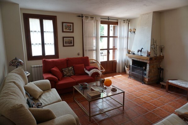 TV, fireplace, video games, books