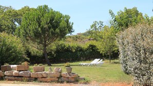 Un jardin agrémenté de structures en pierre, d’un grand arbre et de chaises longues blanches.