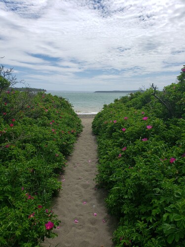 Walk to Campobello & beach/Weekly discount/Pets welcome/Water views /Fire pit 