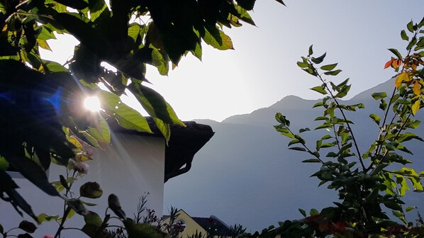 Une vue sur une montagne, avec un bâtiment partiellement dissimulé par le feuillage.