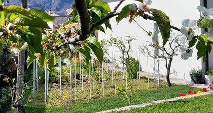 AC System-Dolomites-Lakes-Hiking-biking-climbing-Culture's-Wine-Venezia 2:36