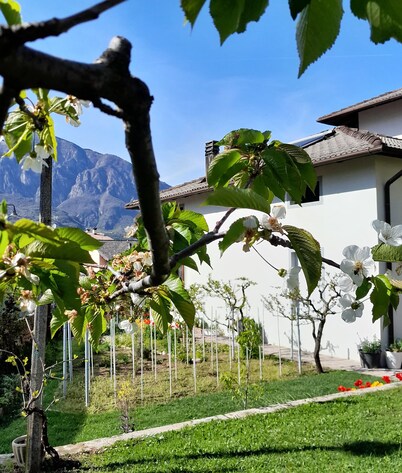 Hidden Gem in Trentino  Authentic Alpine Stay in the Dolomites with AC
