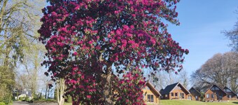 Blissful Escape Hengar Manor Cornwall