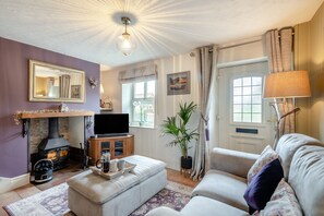 TV, fireplace, books
