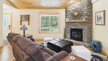 TV connectée, cheminée, lecteur de DVD, livres