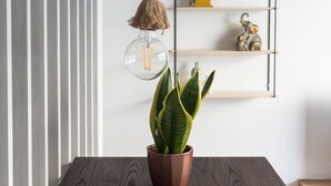 Ein Holztisch mit einem Blumentopf, einer Pendelleuchte und einem Regal mit einer Uhr und Dekoration.